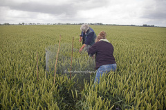 Plaatsen nestbescherming