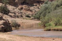 Moorse tanglibel - Onychogomphus costae, habitat