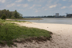 Rivierrombout, Gomphus flavipes, habitat, Oudendijk, Groesplaat